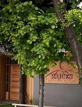Raices Bed And Breakfast Coyhaique Zewnętrze zdjęcie