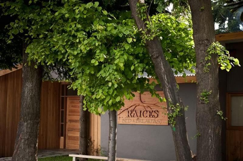 Raices Bed And Breakfast Coyhaique Zewnętrze zdjęcie